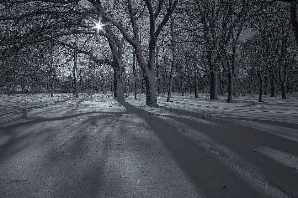 , Sergey Dimchenko