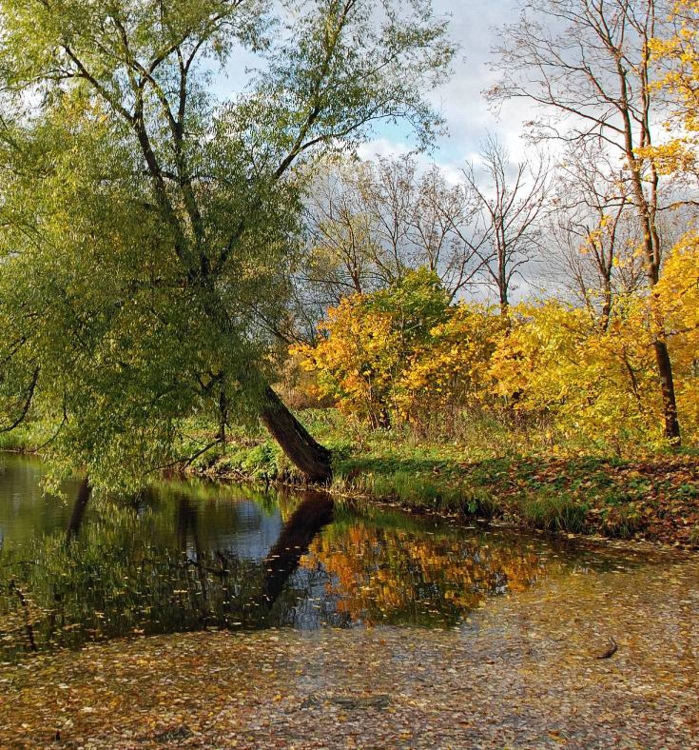 , Евгений Поздняков