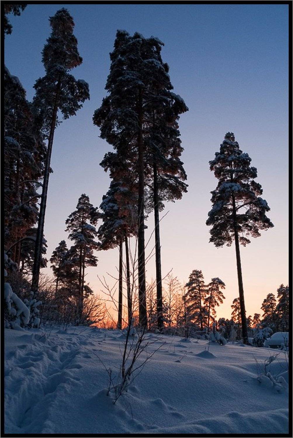 , Лунный Ежик