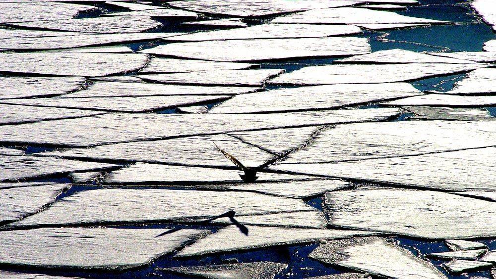 , ИГОРЬ МЕЛЬНИКОВ