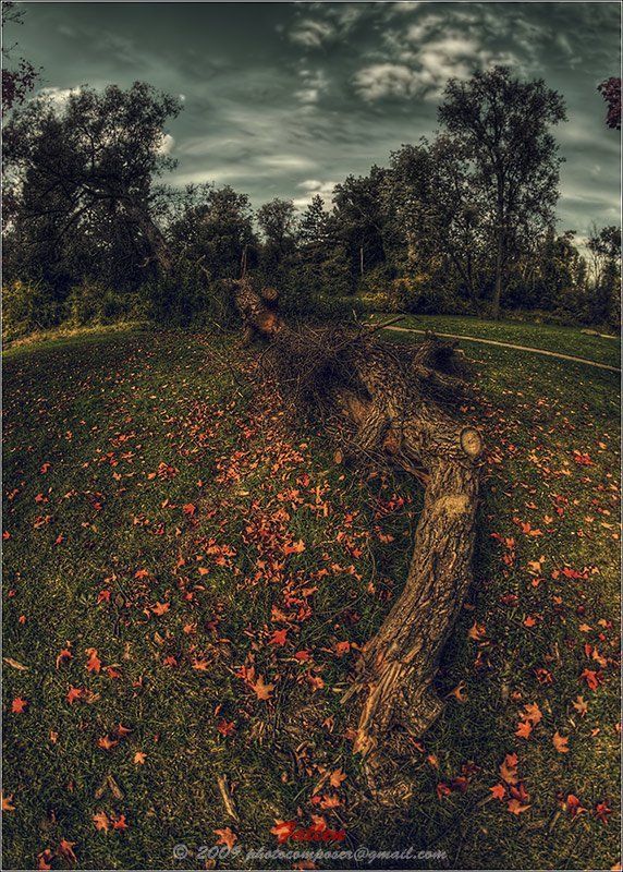 Fallen... фото превью