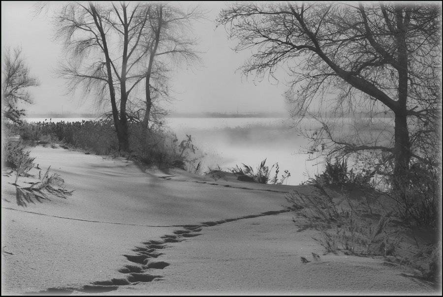 , Васенин Валерий