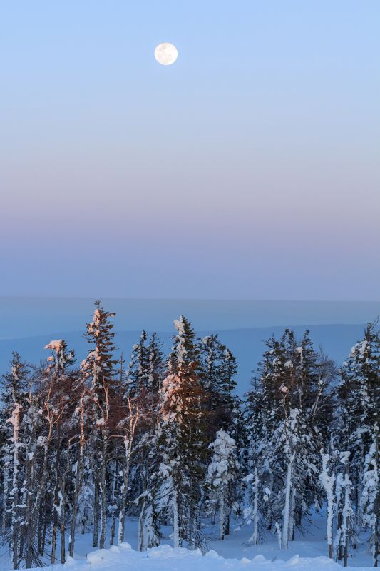 гора белая, пейзаж, закат, восход, луна, урал, россия, природа, снег, зима Гора Белая  фото превью