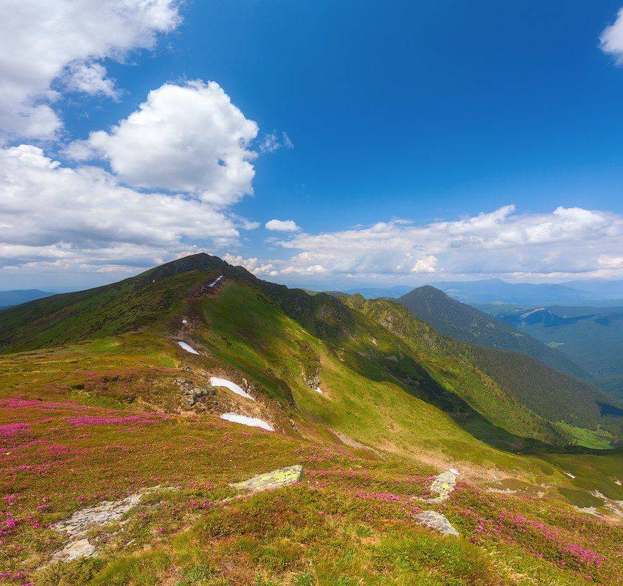 , Ярослав Тюрменко (Jaremi)