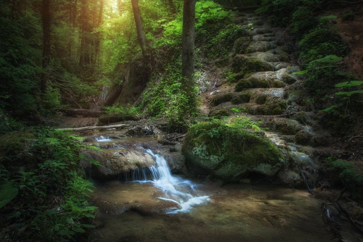 , Михаил Зимин