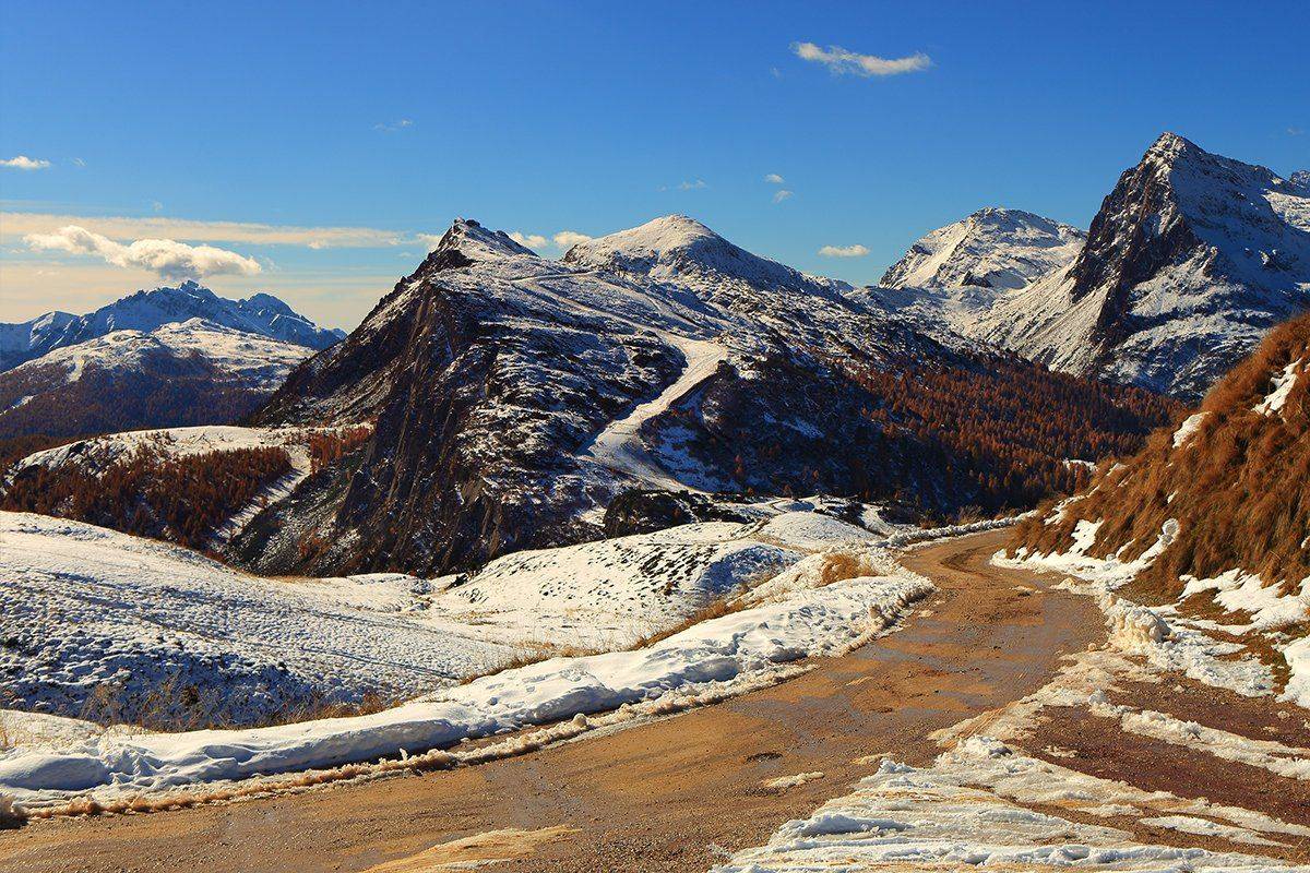 , Игорь Дубровский