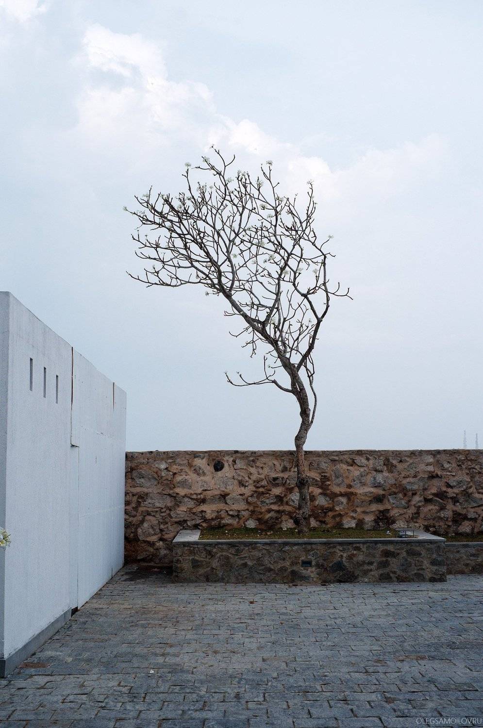 ШриЛанка, путешествия, , samoilov