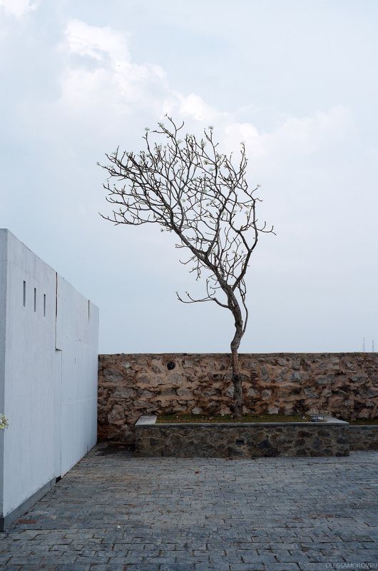 ШриЛанка, путешествия,  одиночество фото превью