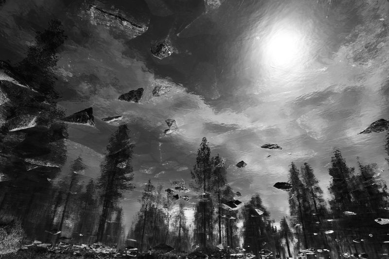 Камни, сосны, облака фото превью