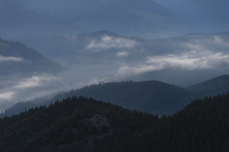 * * * фото превью