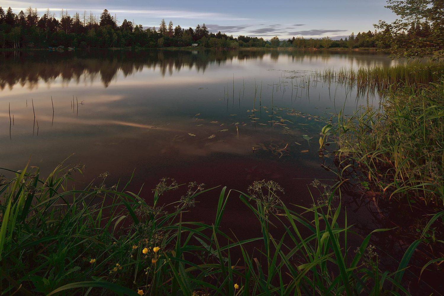 , Алексей Никонов