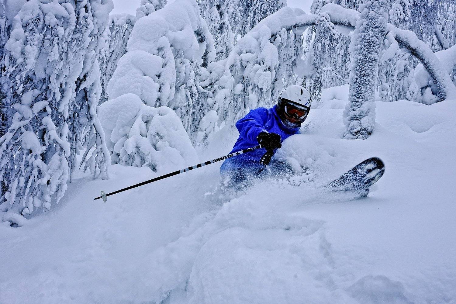 , Cтадник Илья