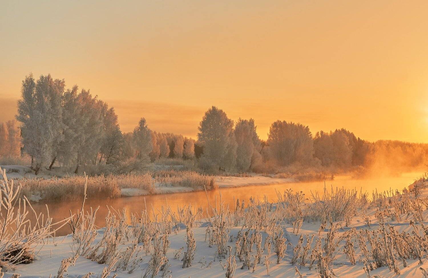 , Олег Богданов