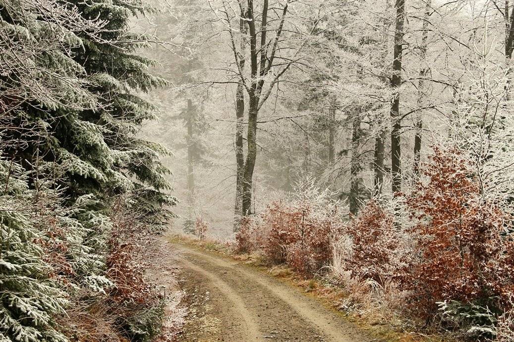 , Krzysztof Tomasiak