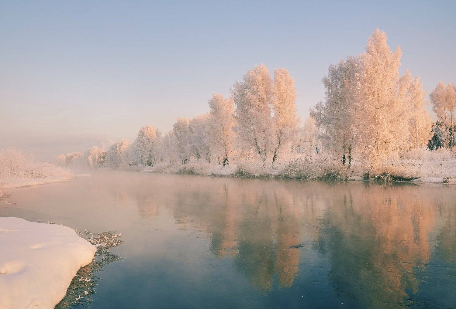 , Олег Богданов