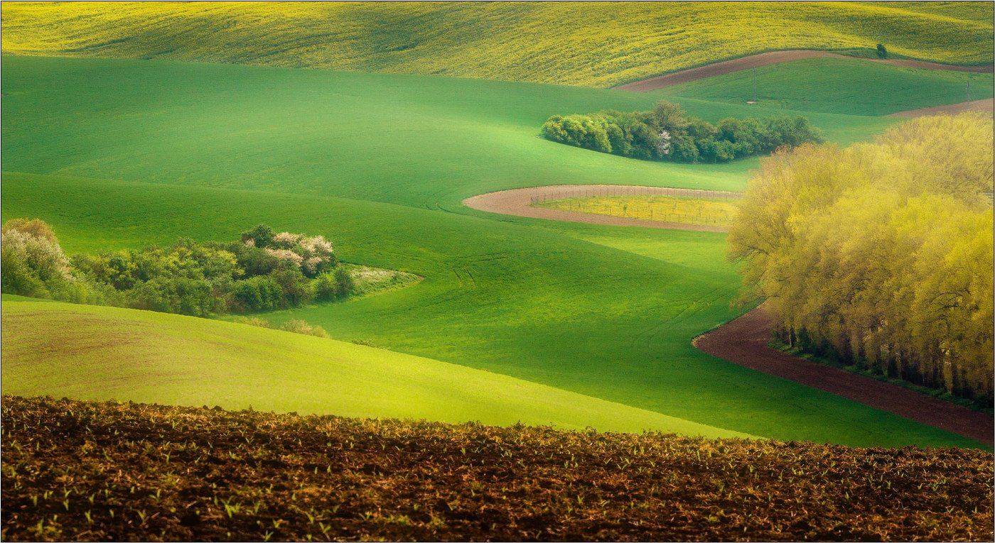 , Рудченко Анатолий