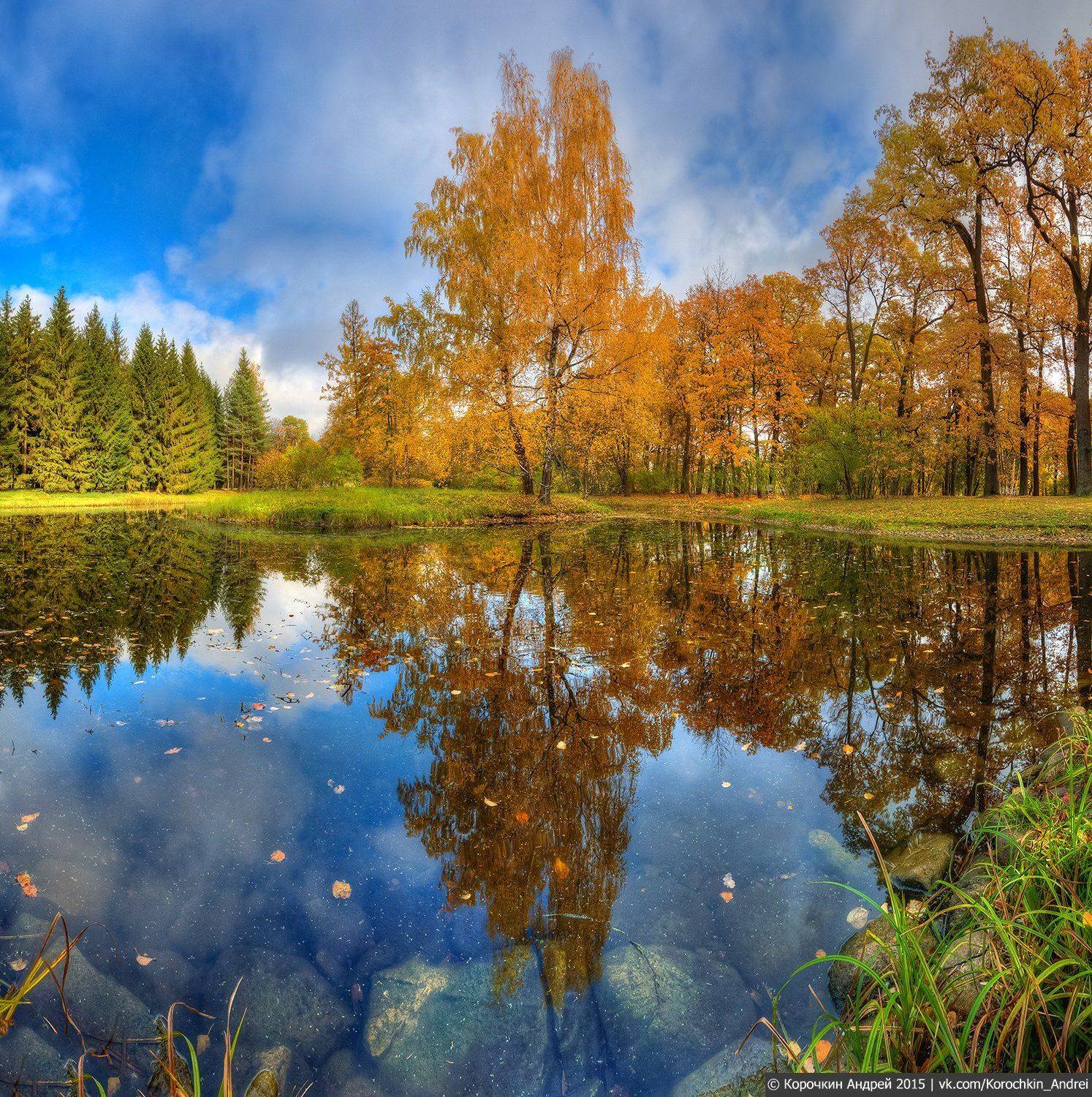 , Андрей Корочкин