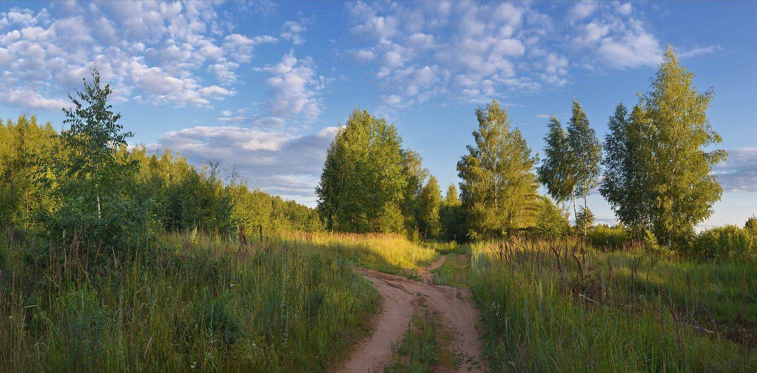 июль, тёплый вечер, дорога, облака, ветер, небо, Irina Shapronova