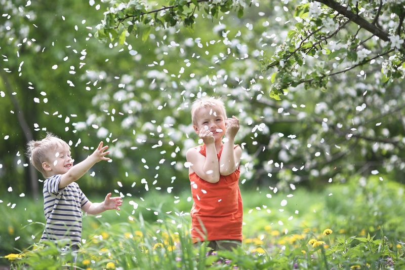 фото превью