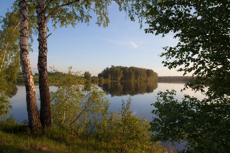 Вода, Лето, Пейзаж, Природа, Тишина Зелёный занавес фото превью