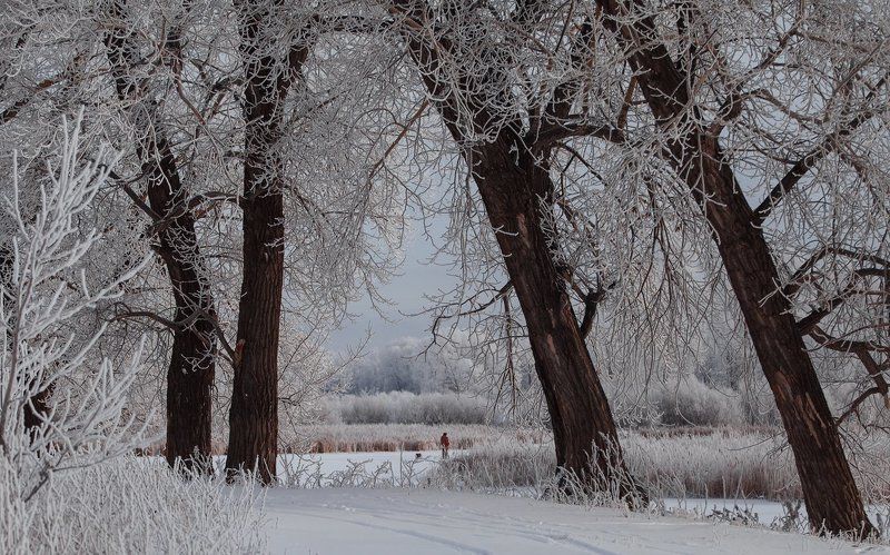 Зимним утром фото превью