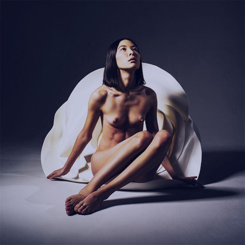 О цветах фото превью