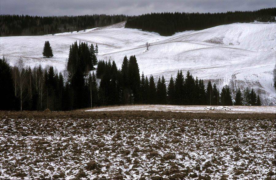 , Павел Мартюшев