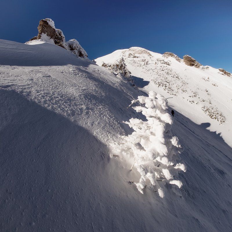 To the summit фото превью