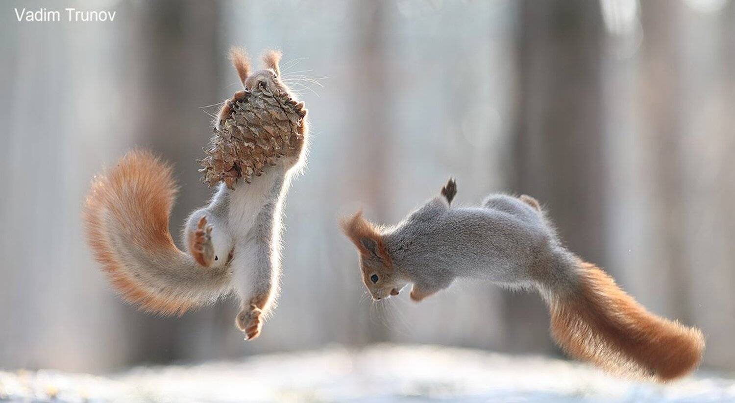 , Вадим Трунов