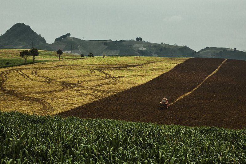 Drawing фото превью