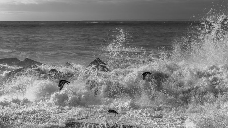 Монохромные зарисовки из путешествий фото превью