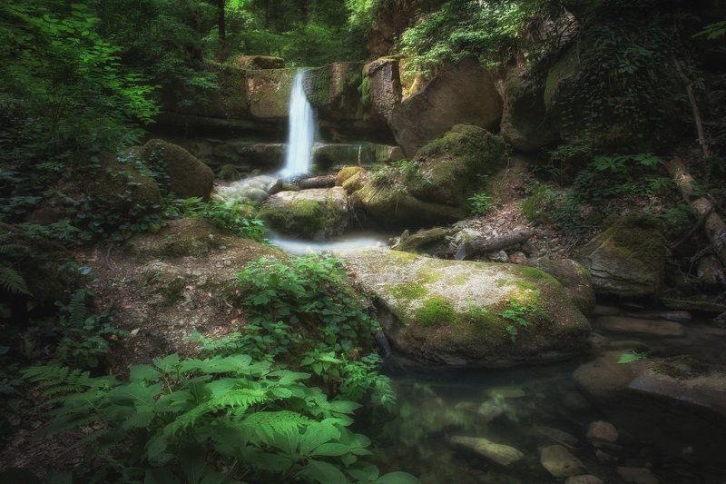 Где мягкий шепот с тишиной.. фото превью