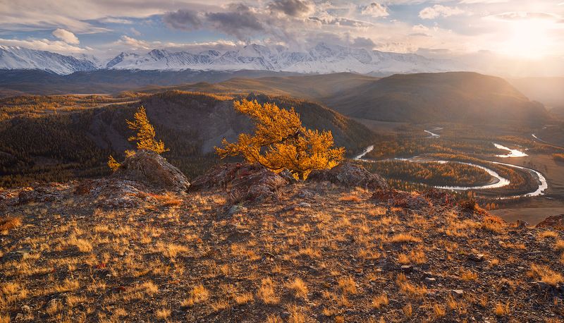 ...в лучах осенних... или икебана №3 фото превью