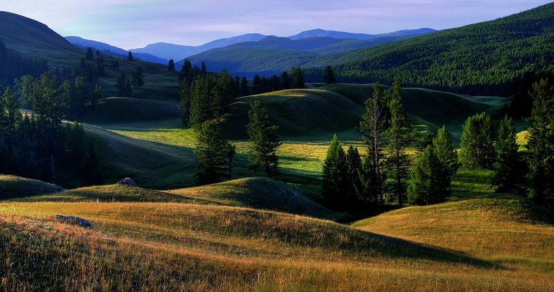 Алтайские луга фото превью