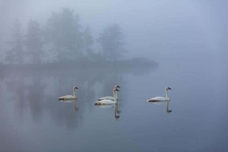 Early Morning фото превью