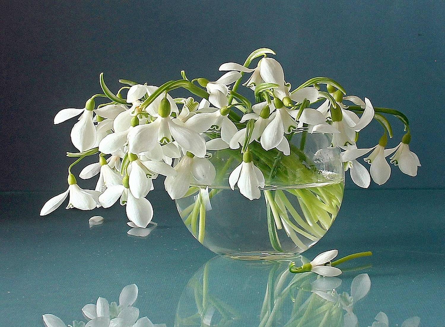 натюрморт, цветы, луговые цветы, весна, марина филатова, подснежники, первоцветы, Марина Филатова