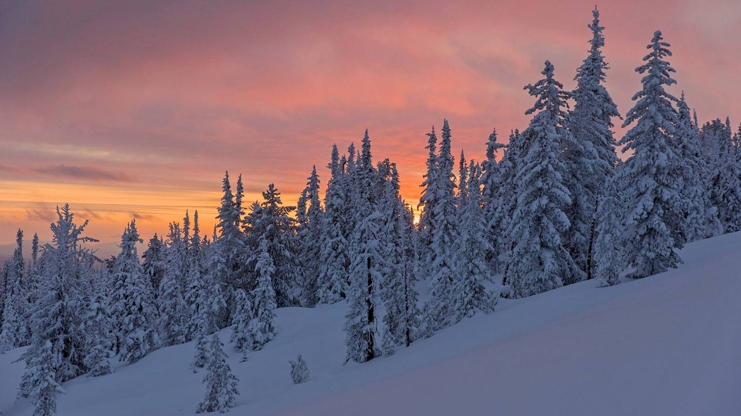 аргиджек, зима, закат, лес, снег, Юрий Мальцев