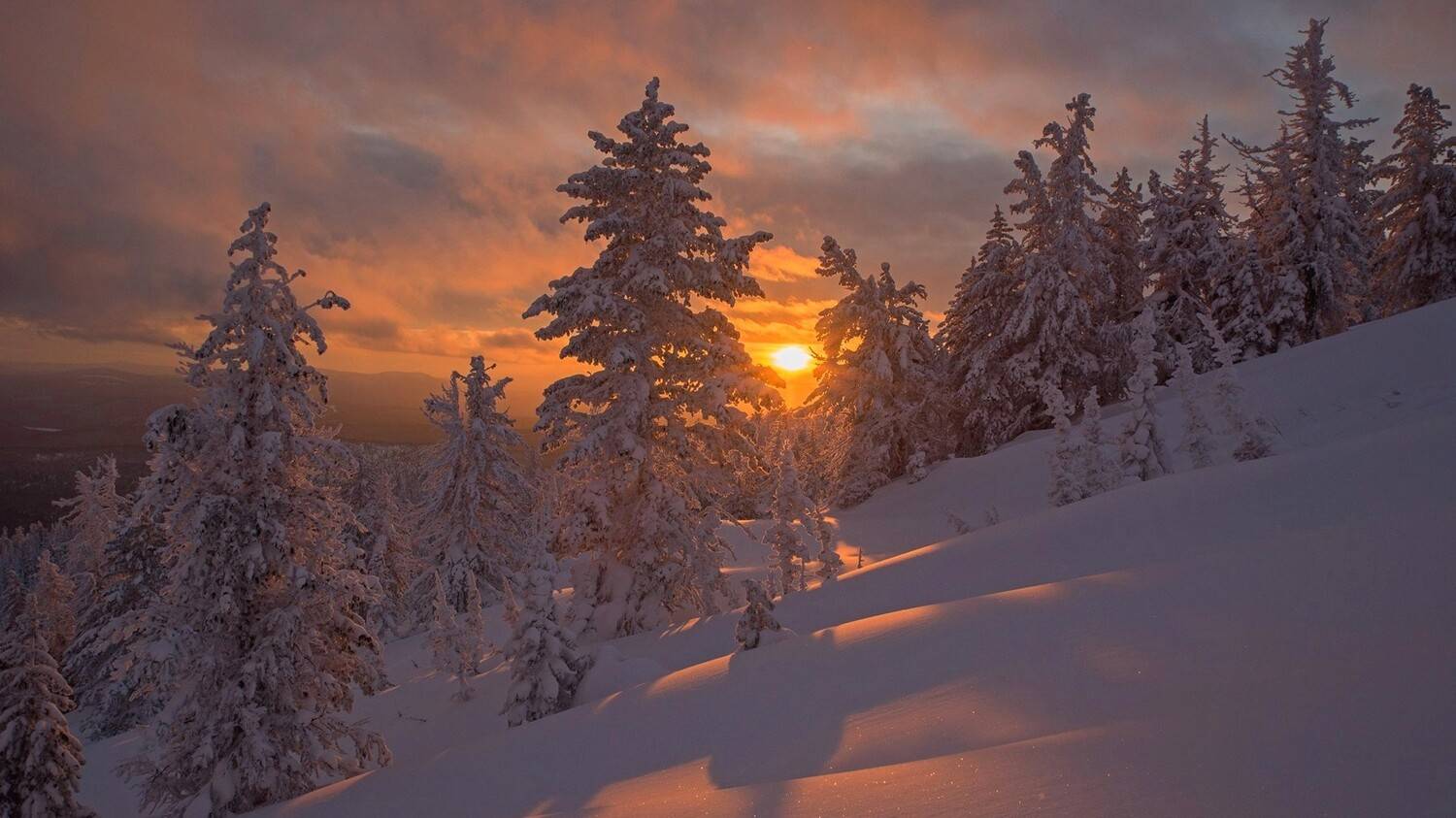 аргиджек, зима, закат, лес, снег, Юрий Мальцев