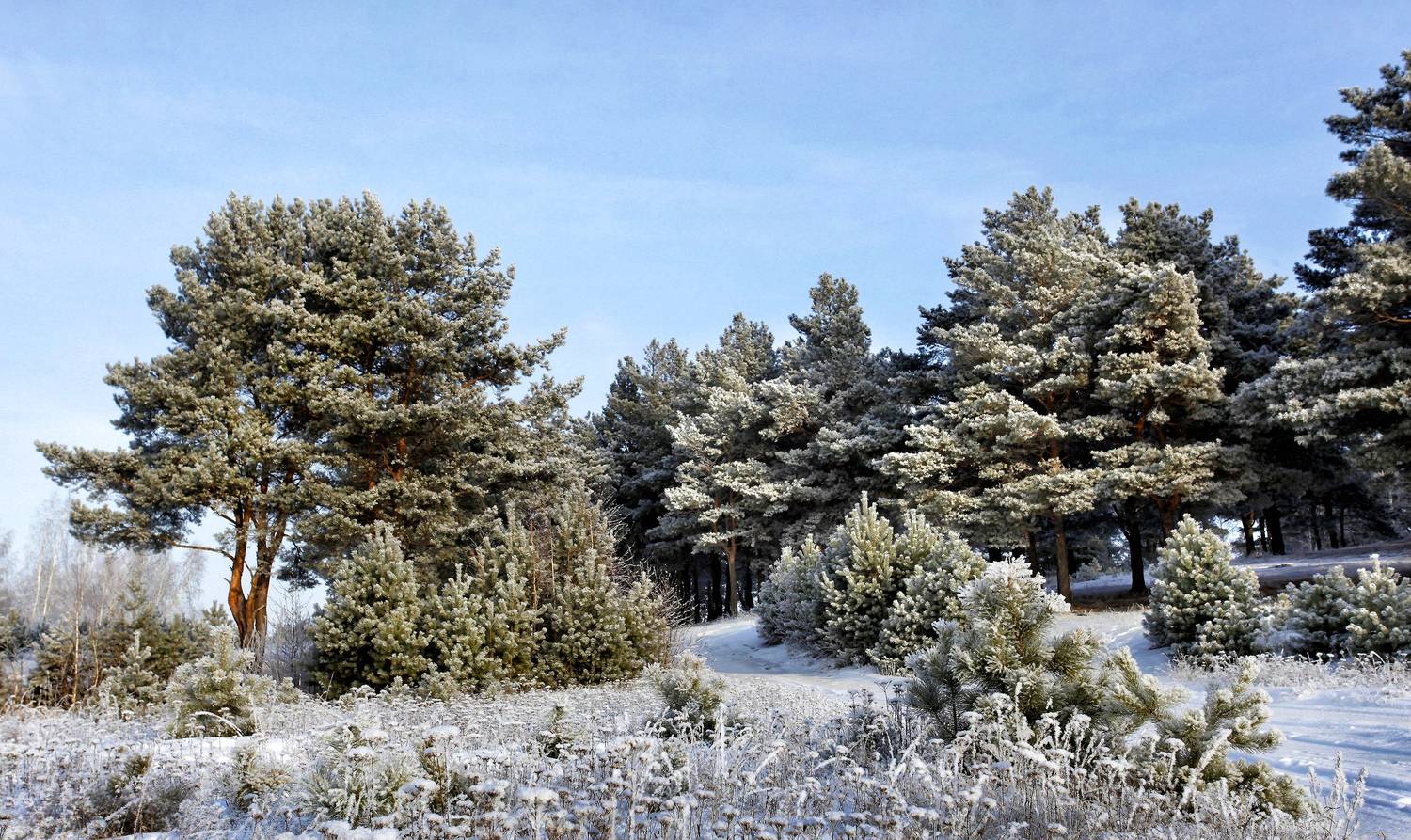 , Ушаков Валерий