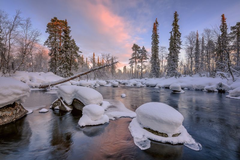 Пробуждение... фото превью