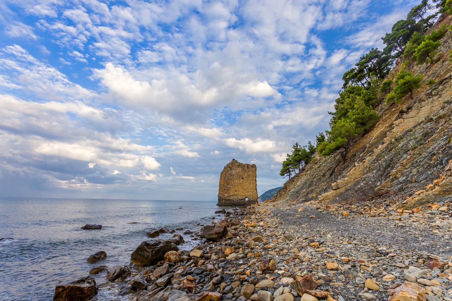 , Цыба Роман