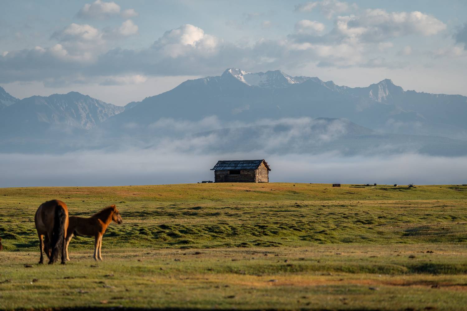 монголия, рассвет, горы, лошади, дом, mongolia, sunrise, mountains, horses, house, Баландин Дмитрий