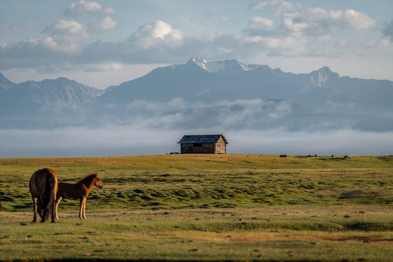 монголия, рассвет, горы, лошади, дом, mongolia, sunrise, mountains, horses, house  фото превью