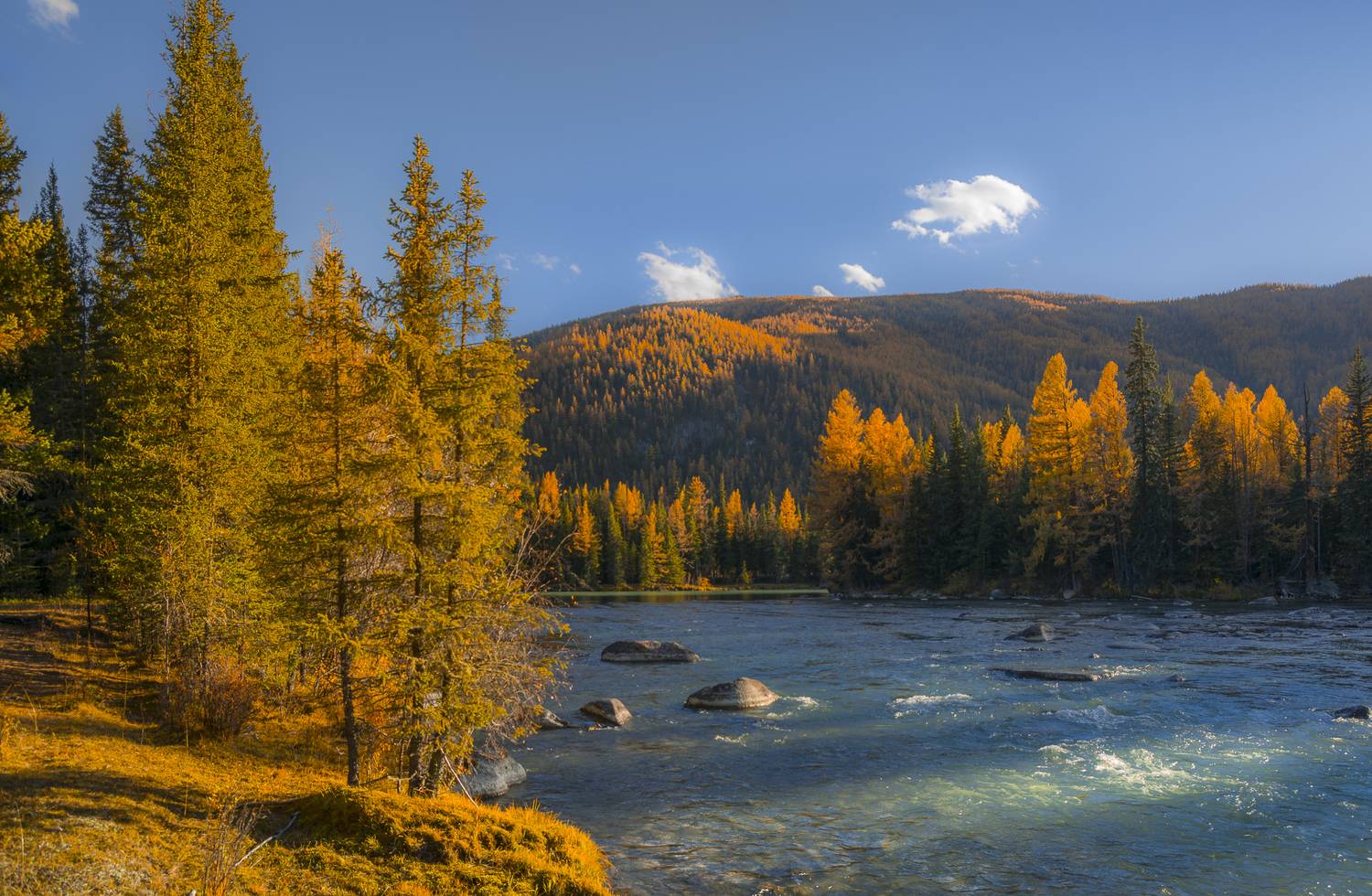 россия, горный алтай, горная река, осень, вечер, Поляков Андрей