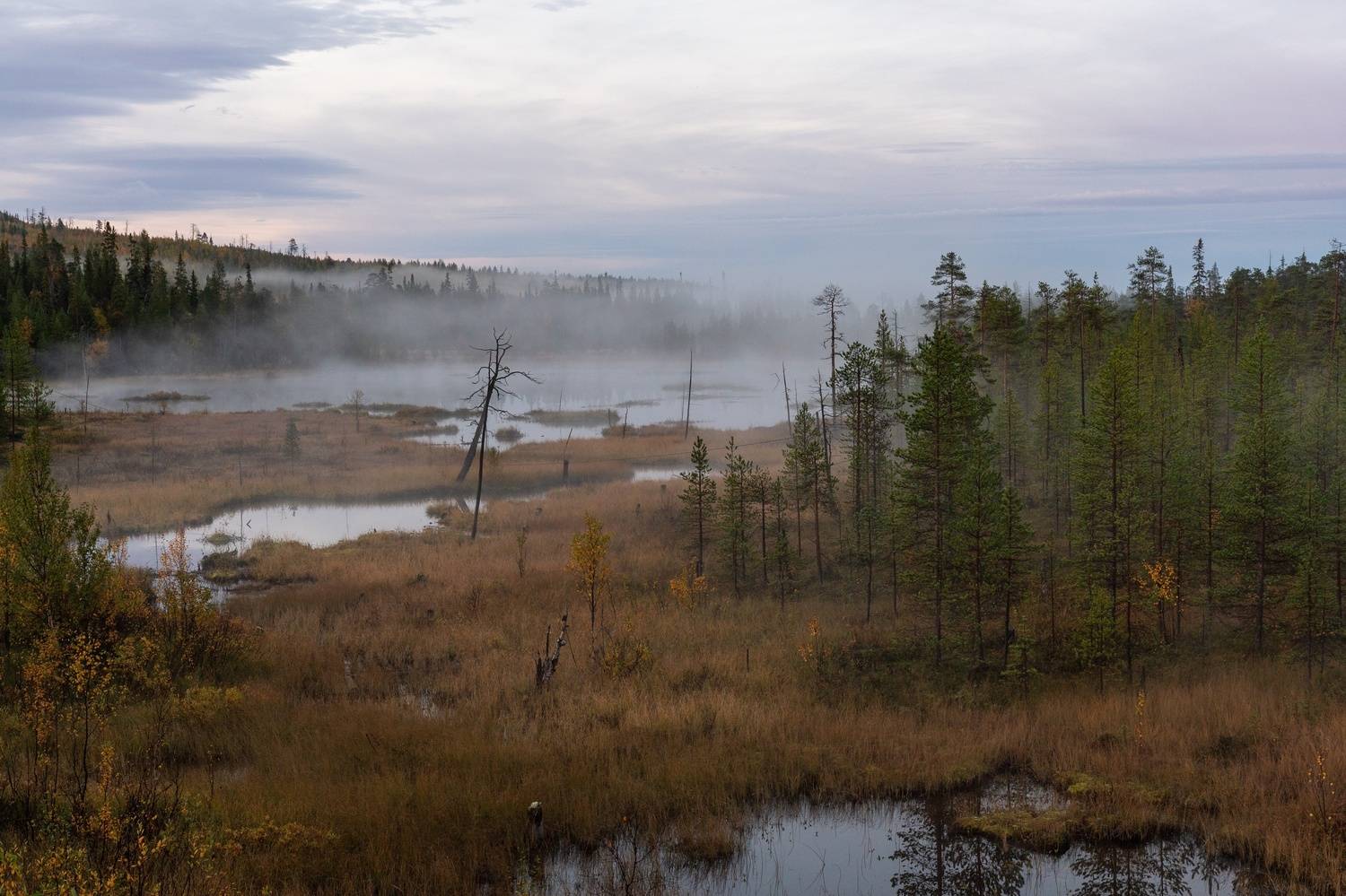 , Карамышева Дарья