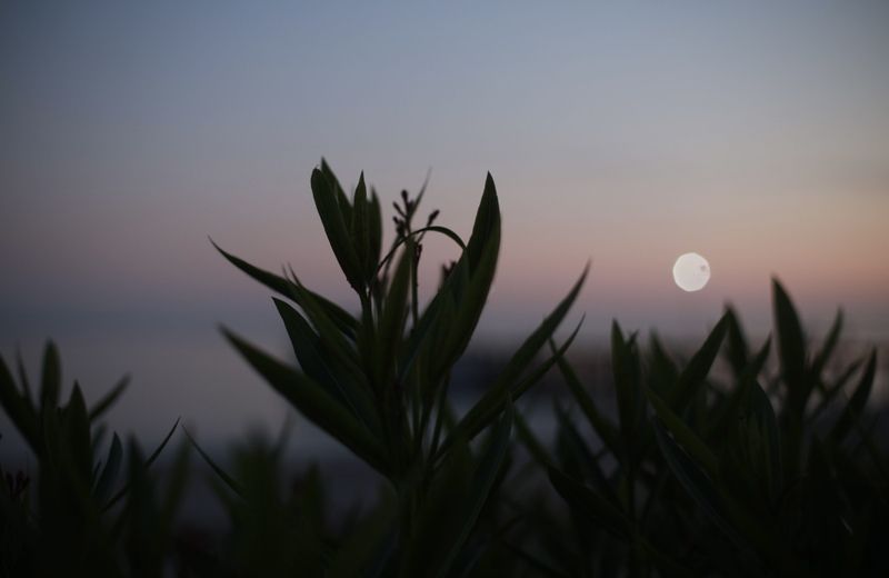 море, закат, солнце, природа, лето Закат фото превью