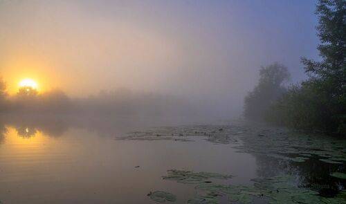 Осенние туманы.