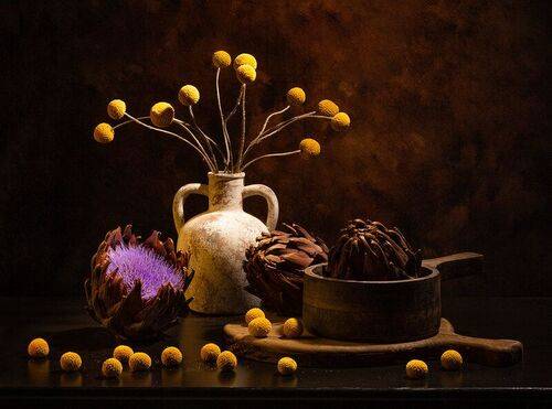 Цветение сухого артишока...