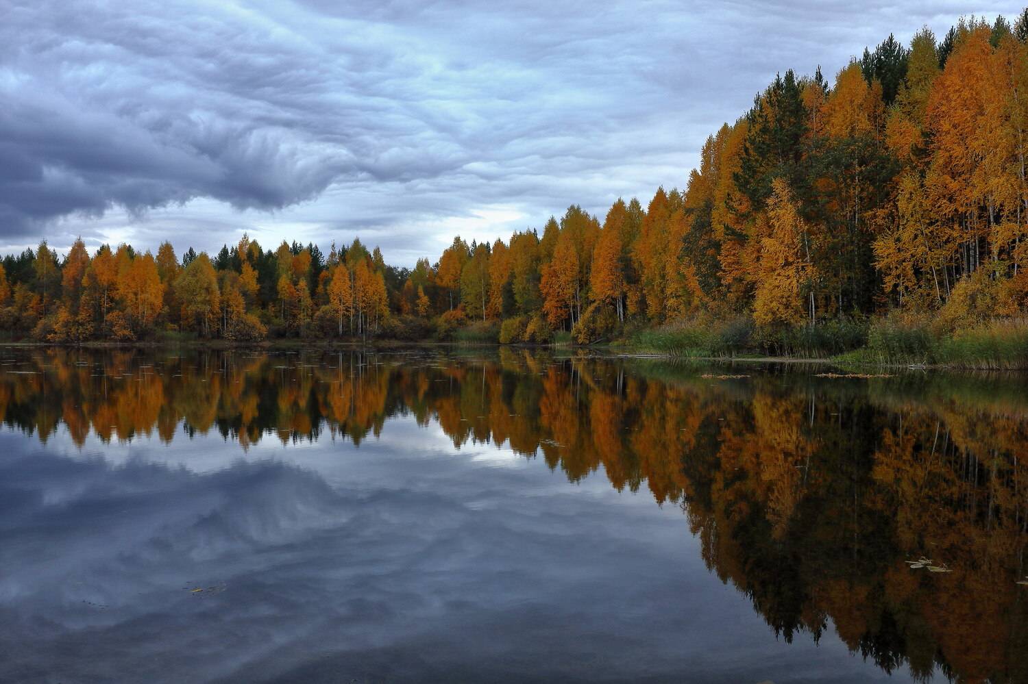 осень, Пермяков Михаил