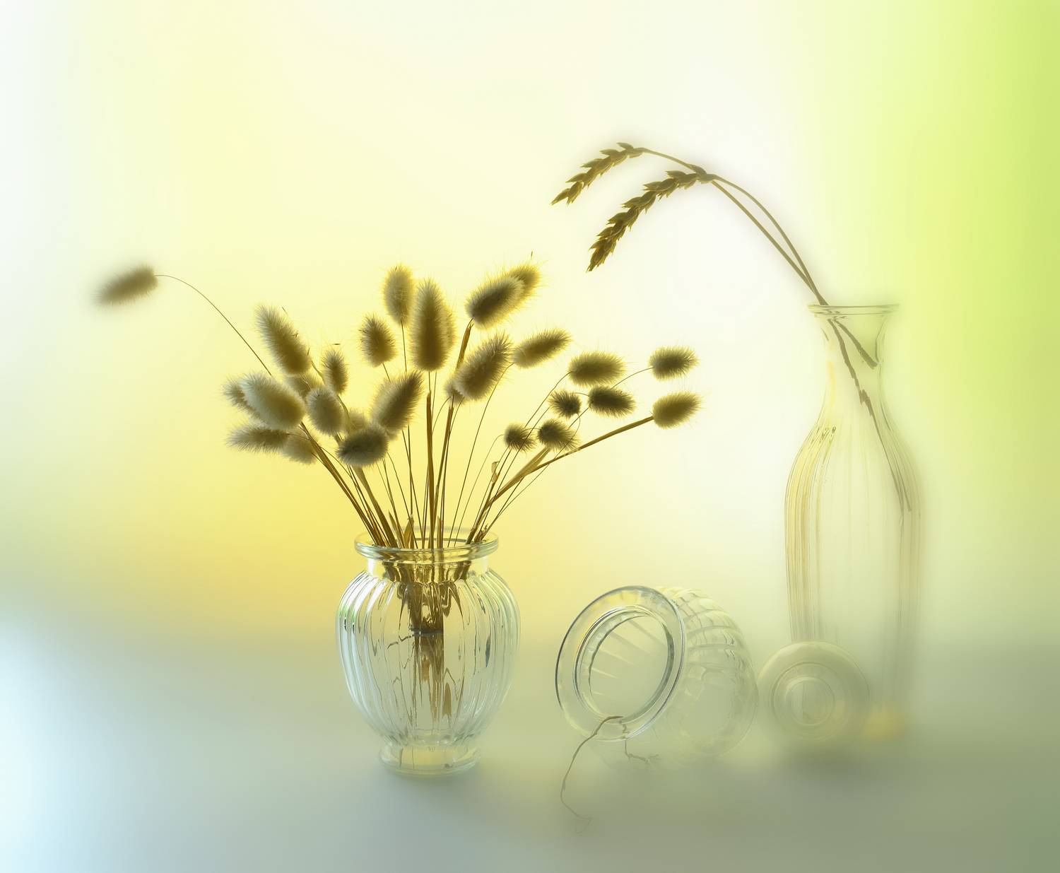 натюрморт,композиция,свет,лето,букет, Инаида